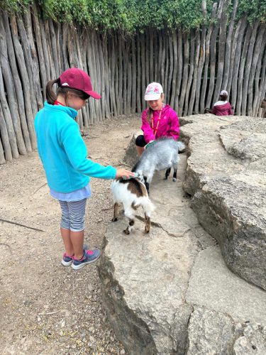 WhatsApp Image 2025-08-06 at 18.08.45 (3)