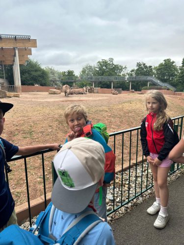 WhatsApp Image 2025-08-06 at 18.08.45