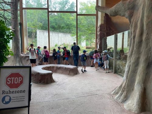 WhatsApp Image 2025-08-06 at 18.09.12 (2)