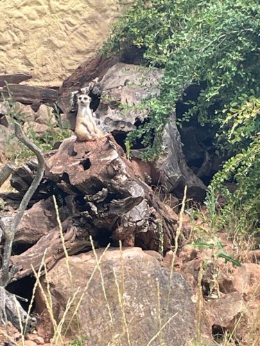 WhatsApp Image 2025-08-06 at 18.09.12 (6)