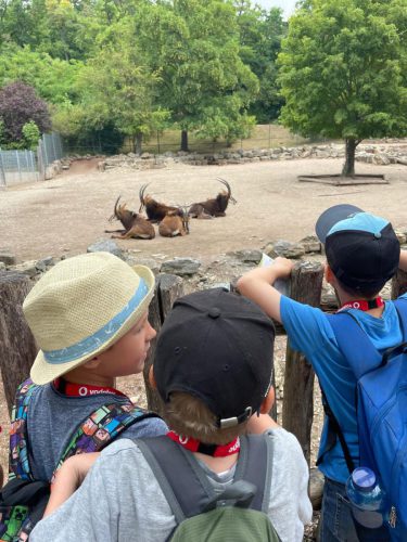 WhatsApp Image 2025-08-06 at 18.09.12