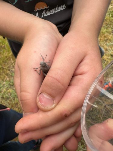 WhatsApp Image 2025-08-06 at 18.16.34 (1)