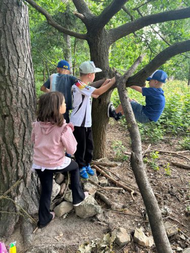 WhatsApp Image 2025-08-06 at 18.16.34 (5)