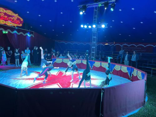 WhatsApp Image 2025-09-09 at 20.05.06 (4)