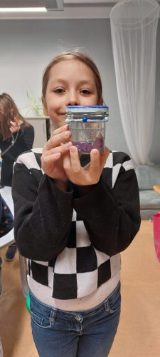 WhatsApp Image 2026-02-25 at 09.15.49