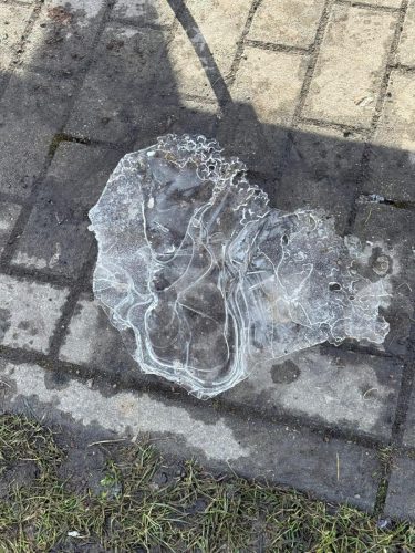 WhatsApp Image 2026-02-25 at 09.16.32 (1)