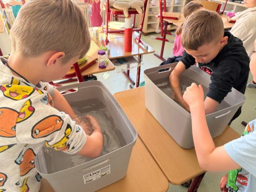 WhatsApp Image 2026-04-22 at 15.18.20 (2)