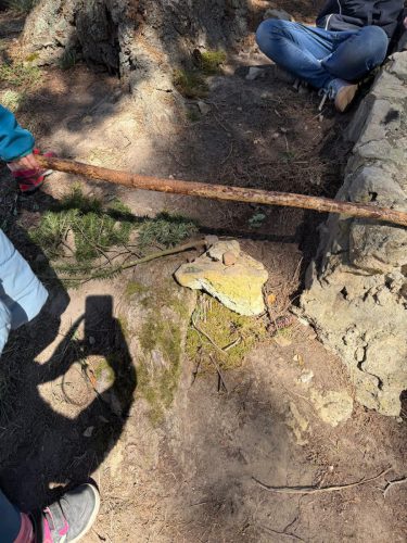 WhatsApp Image 2026-04-22 at 15.18.21 (11)