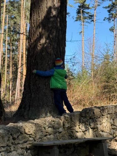 WhatsApp Image 2026-04-22 at 15.18.21 (4)