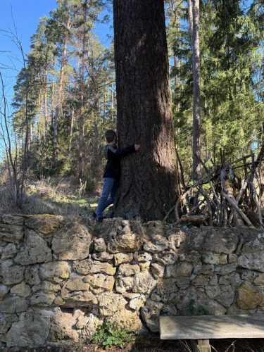 WhatsApp Image 2026-04-22 at 15.18.21 (5)