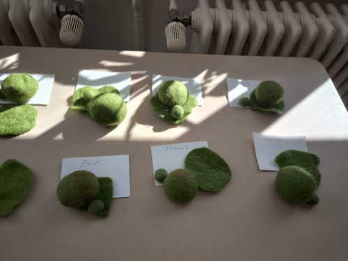 WhatsApp Image 2026-04-22 at 15.20.40 (3)