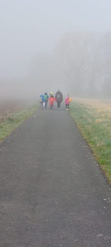 WhatsApp Image 2026-04-22 at 15.22.44 (1)