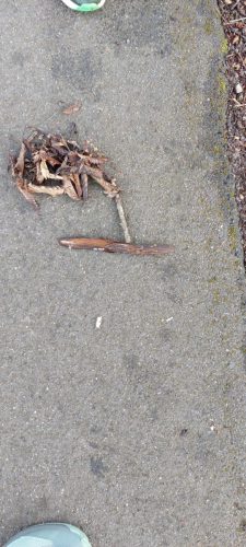 WhatsApp Image 2026-04-22 at 15.22.44